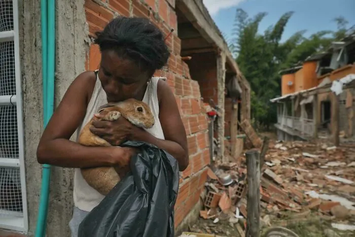A Woman Embraces A Rabbit Rescued From The Debris Of Destroyed Houses