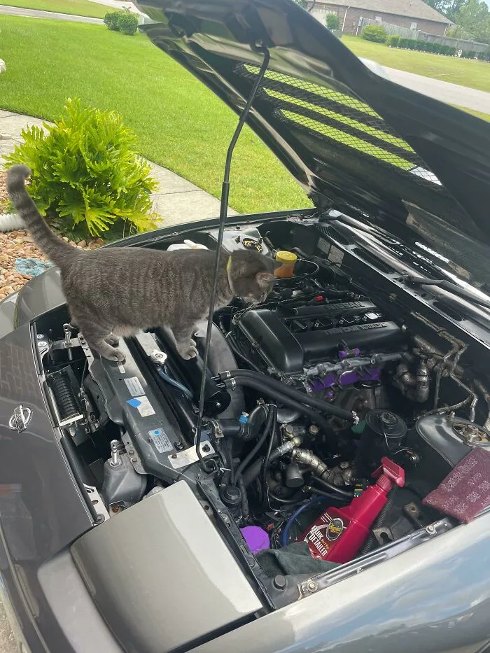 “Yep, That’s An Engine”