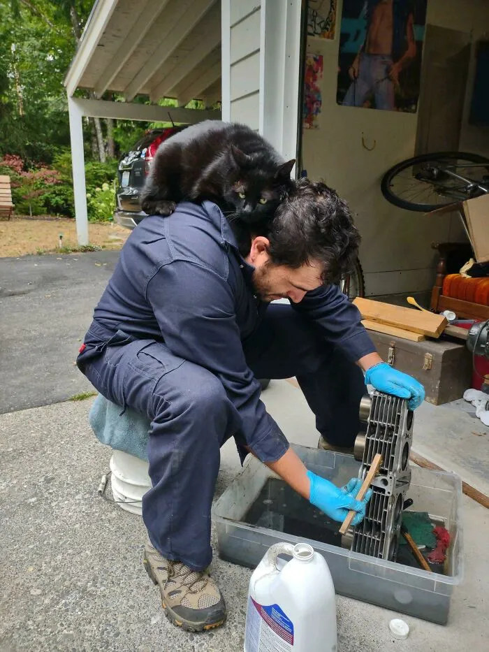Someone Suggested I Post Here. Master Mechanic Winston Making Sure I’m Referencing The Sds