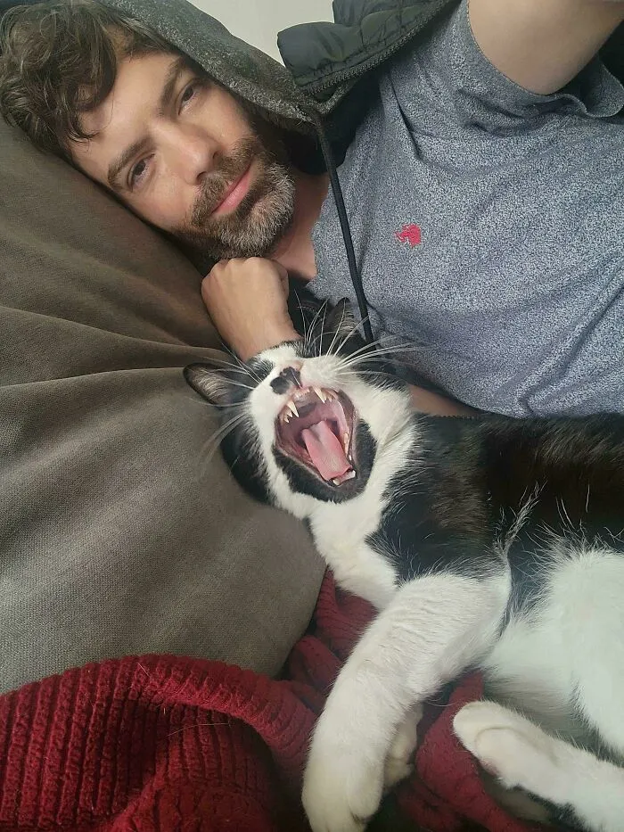 My Neighborhood Cat Adopted Me To Be His Food Dispenser. Named Him Peter