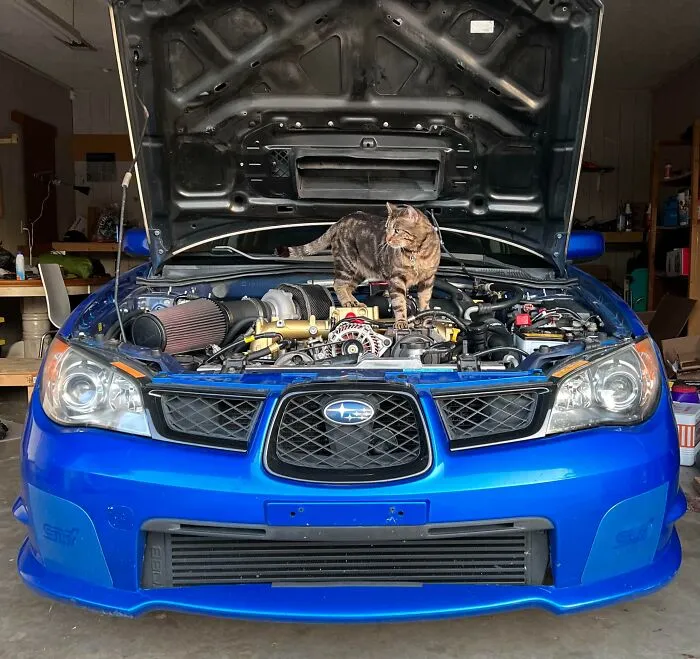 “I See The Problem Bud, Your Turbo Is In Entirely The Wrong Spot”