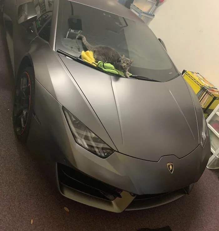 Lady The Car Detailer