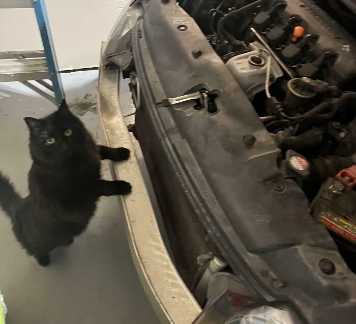 She’s About To Break Some Terrible News To Me
