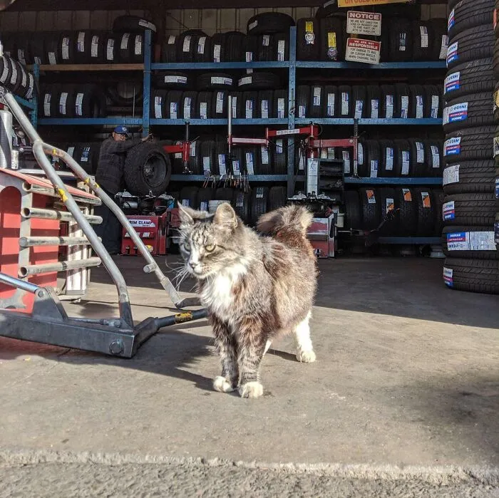 Getting Ready For Shift To Start