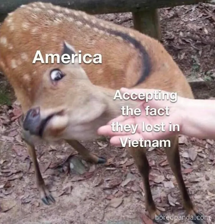 The Past Never Looked So Funny: 50 Memes That Turn History Into Comedy