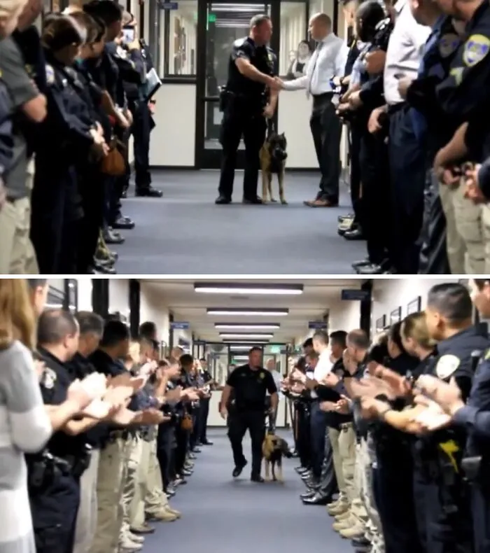 Police Department Thanks K9 For His Service On His Last Day Before Retirement