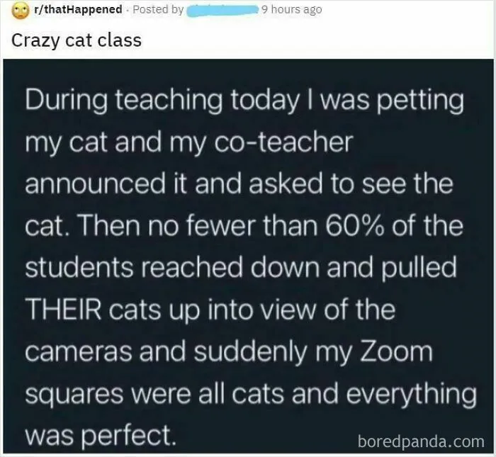 People Own Animals, Its Not Uncommon