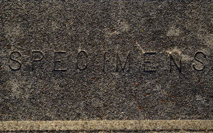 “It May Be The Single Worst Thing I’ve Ever Seen”: 50 Urban Explorers Share Their Creepiest Finds