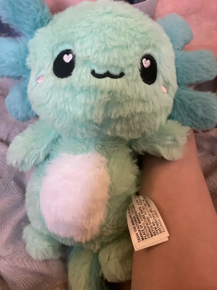  Send In The Warm, Cuddly Backup For Tummy Aches And Bedtime Chills In The Form Of This <a Style="Display:inline;" Href="Https://Www.amazon.com/Axolotl-Microwavable-Unscented-Heating-Heatable/Dp/B0bnkbzps4?ie=utf8&th=1&linkcode=ll1&tag=bpgoose-20&linkid=09f2025c8275ec2fbfceaf34979d208d&language=en_us&ref_=as_li_ss_tl" Target="_blank">  <span Style="Font: Inherit; Color: #d74b1f;"> Axolotl Microwavable Heating Pad </Span>