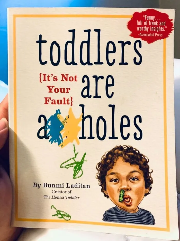  <a Style="Display:inline;" Href="Https://Www.amazon.com/Toddlers-Are-Holes-Your-Fault/Dp/076118564x?ie=utf8&linkcode=ll1&tag=bplemur-20&linkid=7cf3e83f391f77930ac540f8bcdada33&language=en_us&ref_=as_li_ss_tl" Target="_blank">   <span Style="Font: Inherit; Color: #d74b1f;"> Toddlers Are A**holes: It's Not Your Fault </Span><br><br> The Parenting Guide That Feels Less Like A Book And More Like A Much-Needed Support Group Meeting