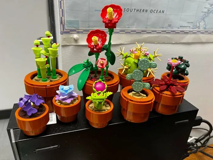 A Gorgeous Bouquet That Actually Thrives On Neglect Can Be Built With <a Style="Display:inline;" Href="Https://Www.amazon.com/LEGO-Botanicals-Tiny-Plants-Artificial/Dp/B0cdcl6y5t?ie=utf8&linkcode=ll1&tag=bphorse-20&linkid=d07a031ab9c753577765da08e1148f9c&language=en_us&ref_=as_li_ss_tl" Target="_blank"> <span Style="Font: Inherit; Color: #d74b1f;"> LEGO Botanicals </Span>