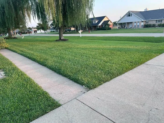 Give Your Sad, Tired Lawn One Last Big Meal Before Its Long Winter Nap So It Comes Back Looking Like A Champion In The Spring With <a Style="Display:inline;" Href="Https://Www.amazon.com/Scotts-Builder-Winterguard-Killer-Fertilizer/Dp/B0bgmnb1cq?crid=1llofr2v8av6j&dib=eyj2ijoimsj9.wjr1mnic3ycz1qrzwkyjspx0ecqh5-Q_0gapkhmdolj2g5xrq2dml7-El7_o1zsdjdcj3ovpuqxscuqq9asijov8xis3a4l4zbeepcz_yvjtg0ll5lxmo0keisao-4npc2megpizti0c4ccwefpnogsbjm6dmnnk4zw_ioayou9m1cegcdgue1bm27hx4jn_0vec_k_zxhxgdknhv0xhr3-H9oviyu5al_kjkzkvmptyg3ho43grrhfkz-Dwvdrtxfgzudk5ubkksgodxlx7dh2kvndtauxnqrcohtv5kbg.ytoxm55af4ck5umbkosn47py640inbhbxsqn8f7fsgi&dib_tag=se&keywords=scotts%2bturf%2bbuilder%2bwinterguard&qid=1762496154&s=lawn-Garden&sprefix=scotts%2bturf%2bbuilder%2bwinterguard%2clawngarden%2c235&sr=1-4&th=1&linkcode=ll1&tag=bpboar-20&linkid=a1b06c58fe4b12135e1fcfa6eb95bed9&language=en_us&ref_=as_li_ss_tl" Target="_blank">  <span Style="Font: Inherit; Color: #d74b1f;"> Scotts Turf Builder Winterguard </Span>