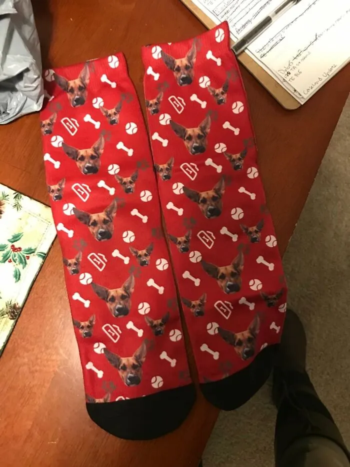 The Burning Desire To Have Their Pet's Adorable Face Judging The Ankles Of Everyone They Meet Can Finally Be Fulfilled With These <a Style="Display:inline;" Href="Https://Www.amazon.com/Customized-Socks-Custom-Picture-Unisex/Dp/B07lcfsxrj?ie=utf8&th=1&psc=1&linkcode=ll1&tag=bpcobra-20&linkid=c2ed2cf415060b05a63177e89e6ba656&language=en_us&ref_=as_li_ss_tl" Target="_blank">  <span Style="Font:inherit; Color: #d74b1f;"> Customized Socks </Span>