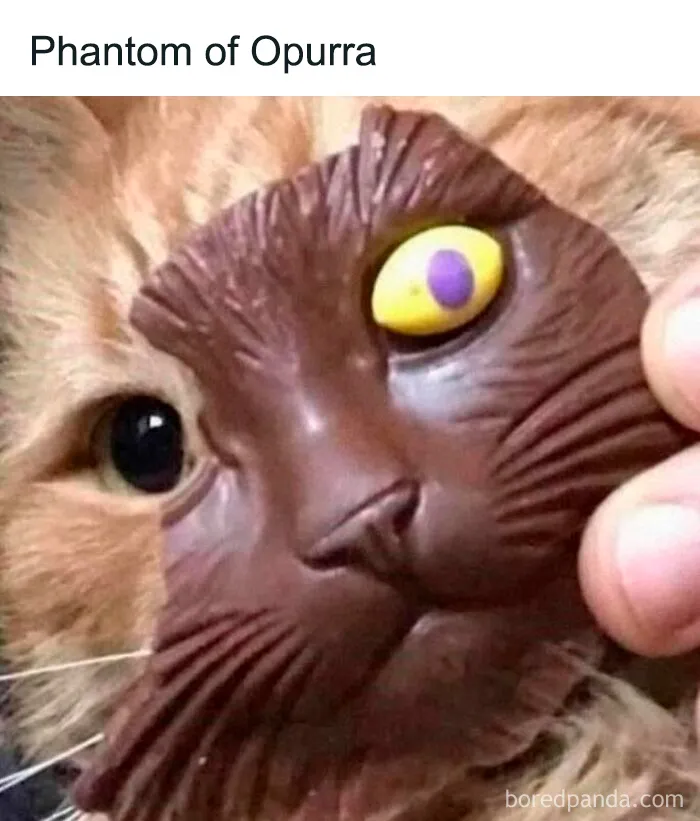 Cat wearing a funny animal mask creating a cute and humorous animal meme for positivity and smiles.