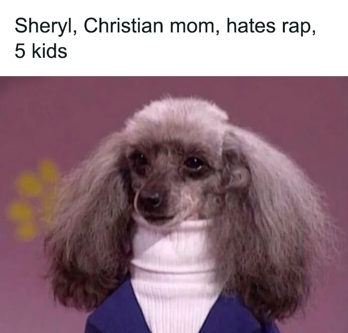 Poodle dressed in a sweater and jacket, featured in a funny and cute animal meme for positivity.