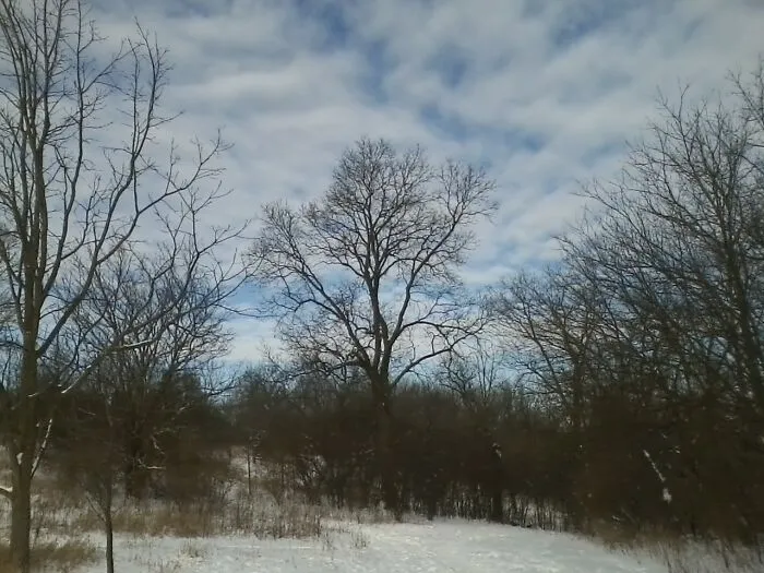 A Photo That I Shot In Illinois