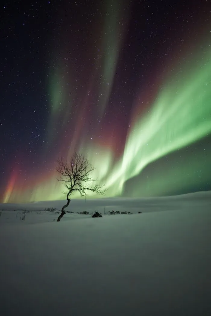 The Best Places And Times To See The Northern Lights From My Own Experience (13 Pics)