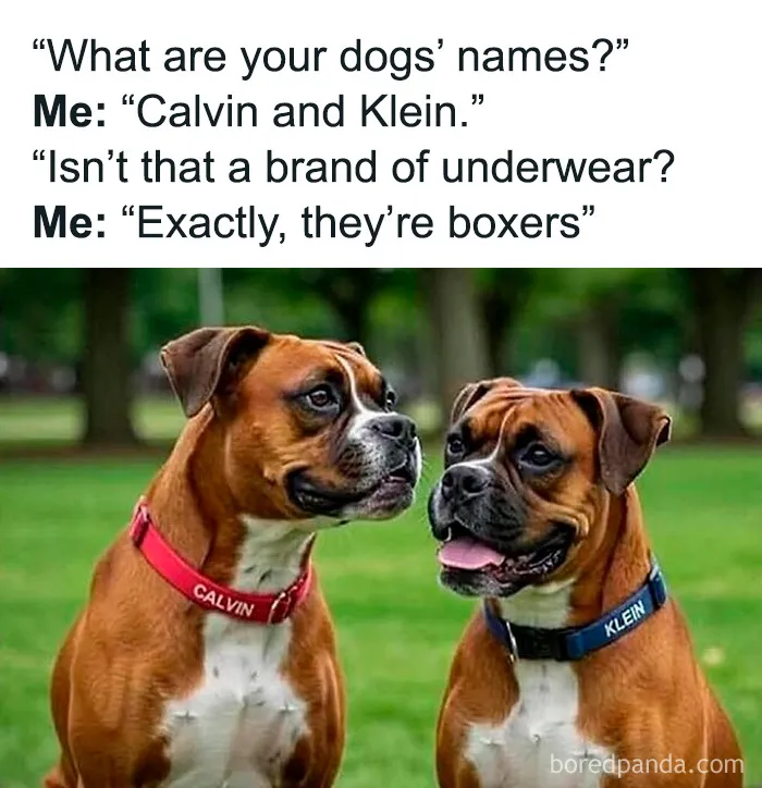 If You Need A Quick Laugh Today, These 70 Random Memes Might Just Do The Trick (New Pics)