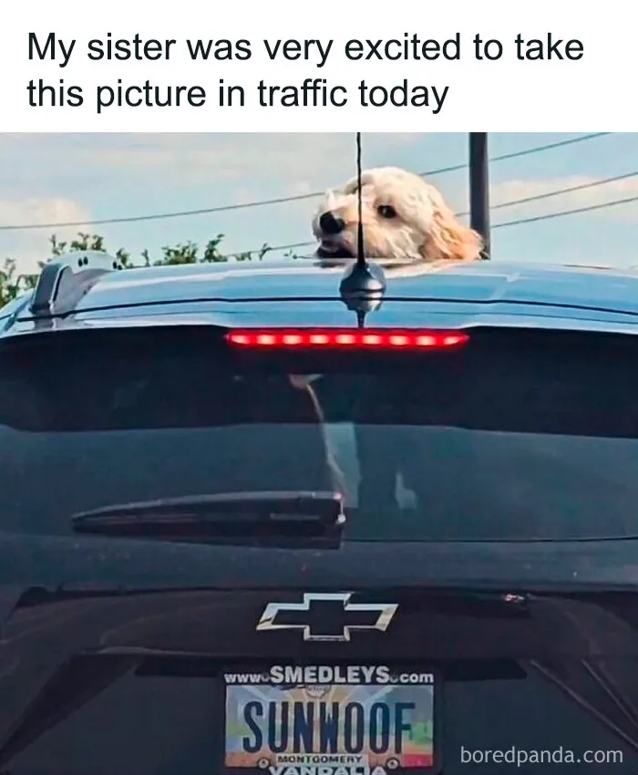 If You Need A Quick Laugh Today, These 70 Random Memes Might Just Do The Trick (New Pics)