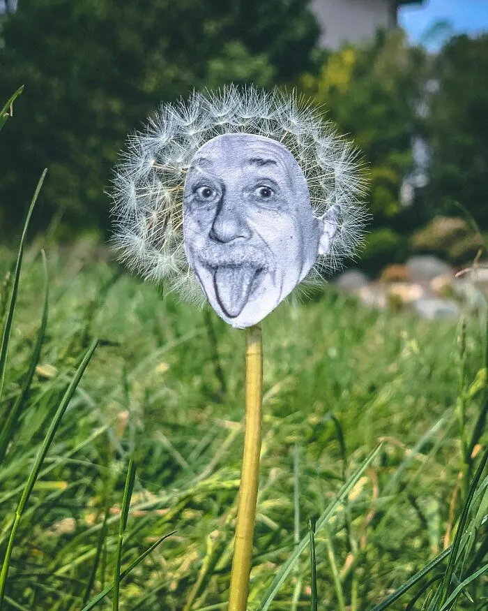 This Artist Made 47 Creative Paper Cutouts That Interact With Reality
