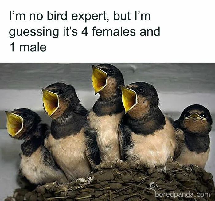 What Do You Think Ladies? Friend Posted This On Her Facebook