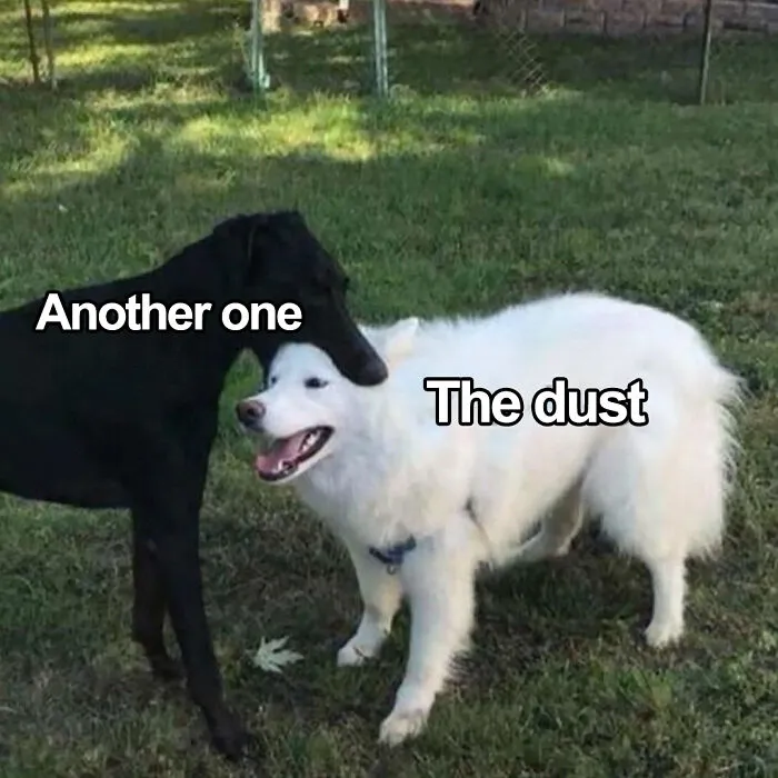 Two dogs in a grassy yard playfully interacting, showcasing a funny and cute animal meme for positivity.