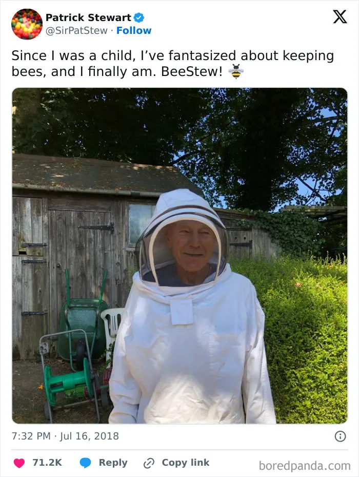 Bee-Sistance Is Futile