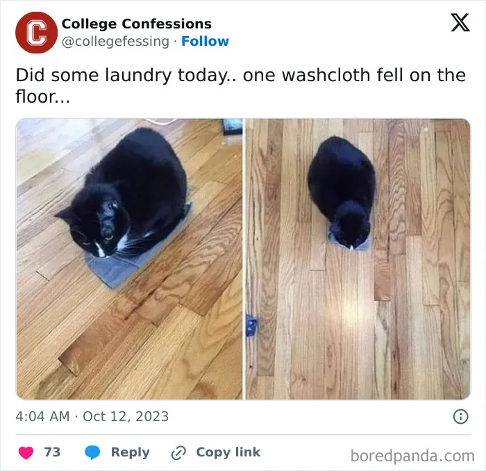 60 Memes That Pretty Much Read The Minds Of Young Adults All Around (New Pics)