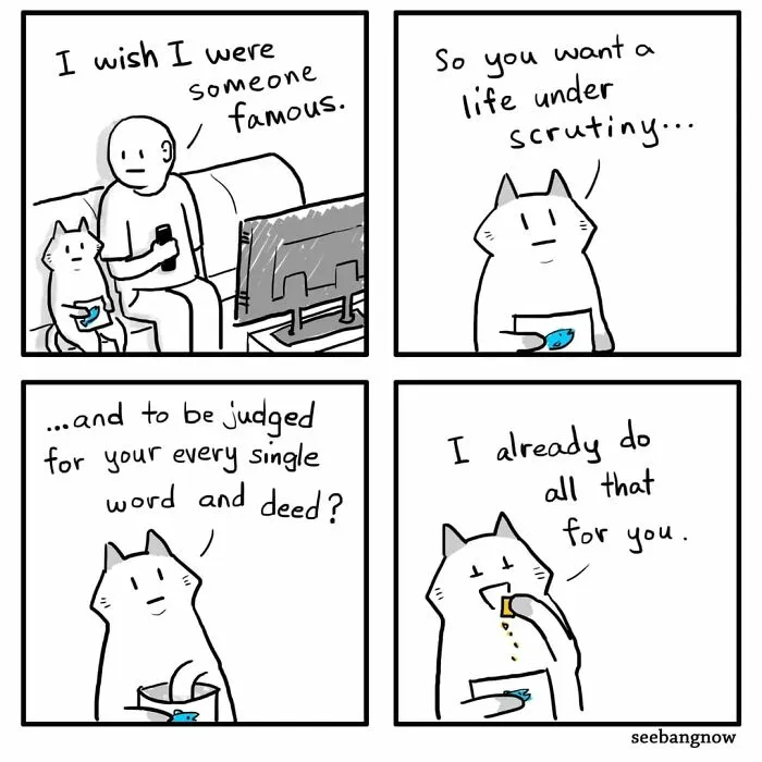 29 Sassy Cat Comics That Prove Cats Understand Us Better Than We Think