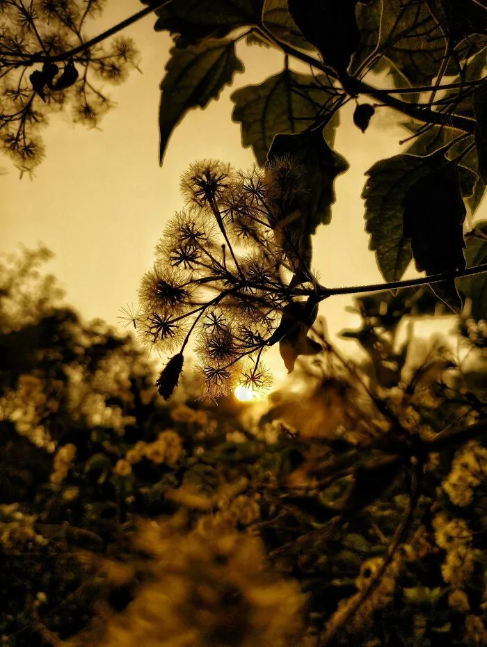 My 15 Captivating Pictures Of Independent Photography