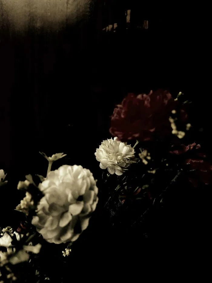 I Took 20 Captivating Shots Of Flowers