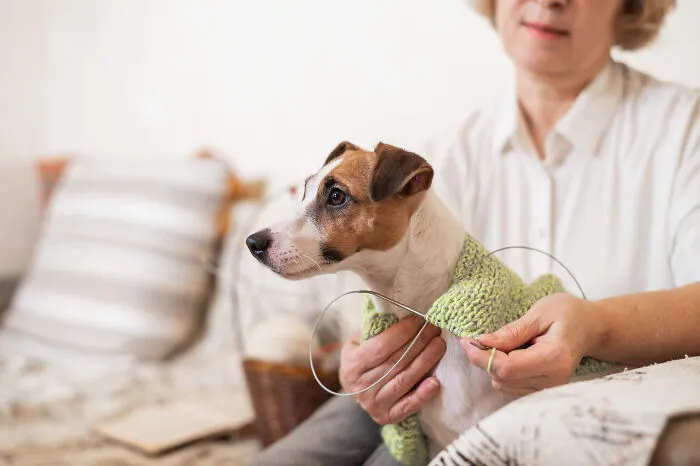 29 Borderline Crazy Things People Were Down To Do For Their Dogs