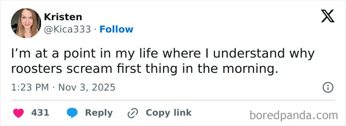 50 Of The Most Hilarious Tweets Amateur Comedians Graced Us With This November