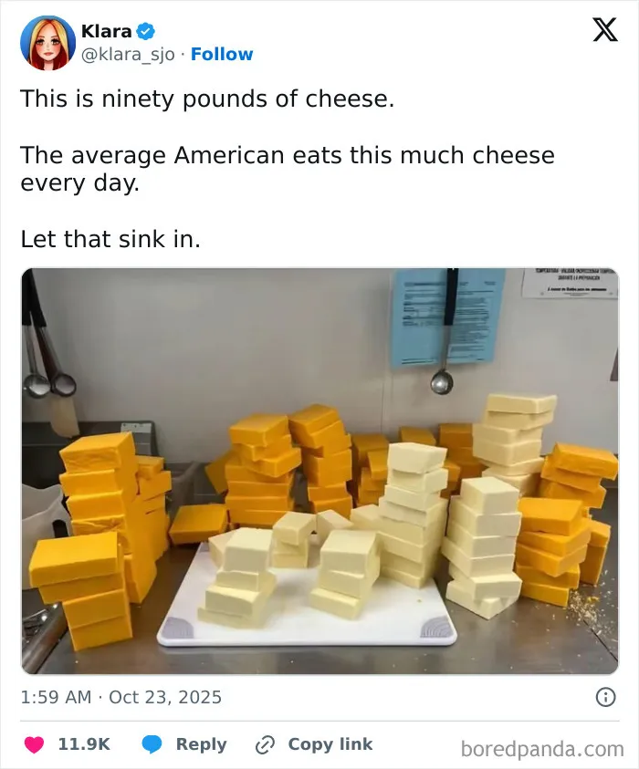 Stacks of yellow and white cheese blocks on a kitchen counter, illustrating a there was an attempt fail pics moment.