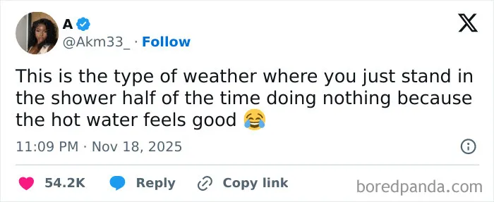 50 Of The Most Hilarious Tweets Amateur Comedians Graced Us With This November