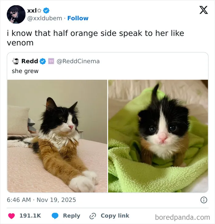 50 Of The Most Hilarious Tweets Amateur Comedians Graced Us With This November