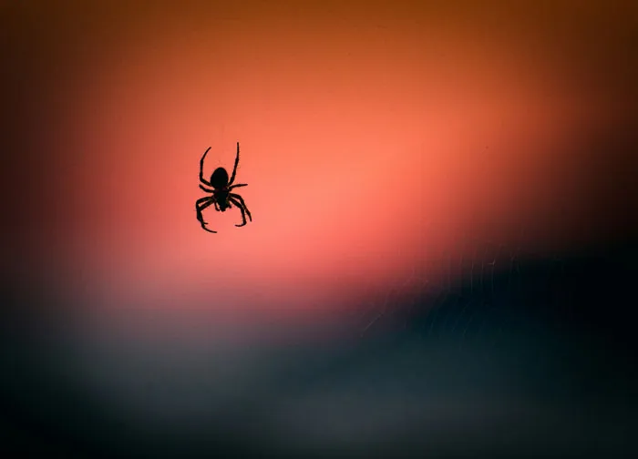 34 Pilots Share The Scariest Moments They Survived While Passengers Stayed Blissfully Unaware
