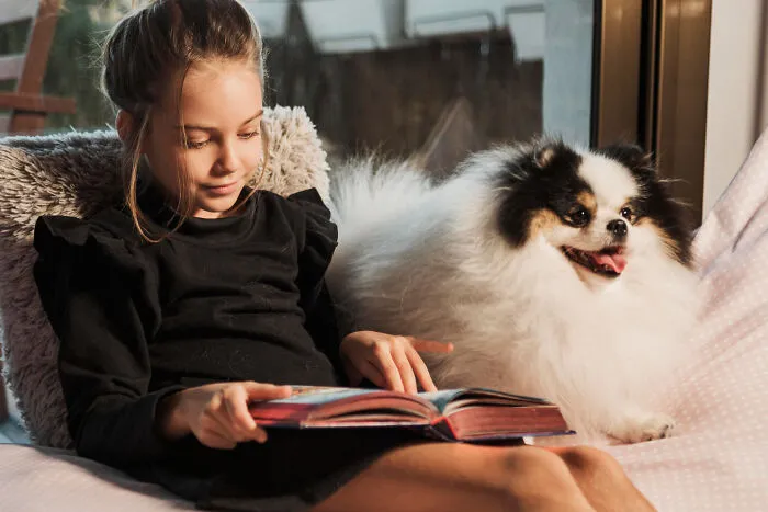 29 Borderline Crazy Things People Were Down To Do For Their Dogs