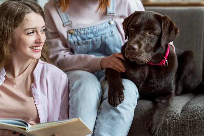 29 Borderline Crazy Things People Were Down To Do For Their Dogs