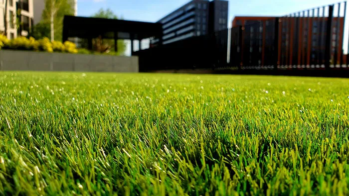 “Could Not Wear Camouflage Clothing”: 44 Of The Most Outrageous HOA Rules People Have Endured