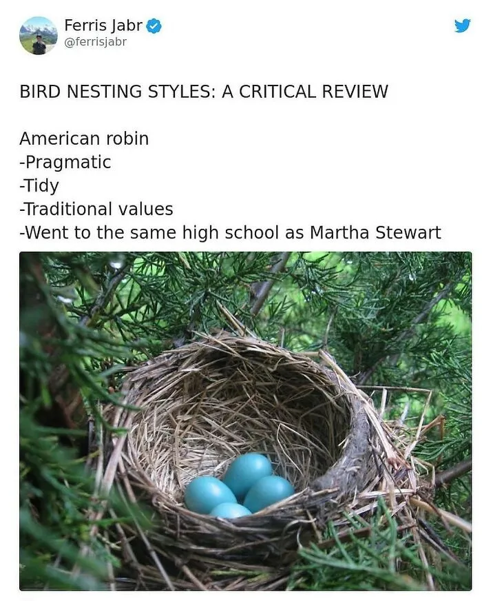 Tweet about American robin nesting styles with a photo of a bird nest holding four blue eggs in green foliage, funny animal memes.