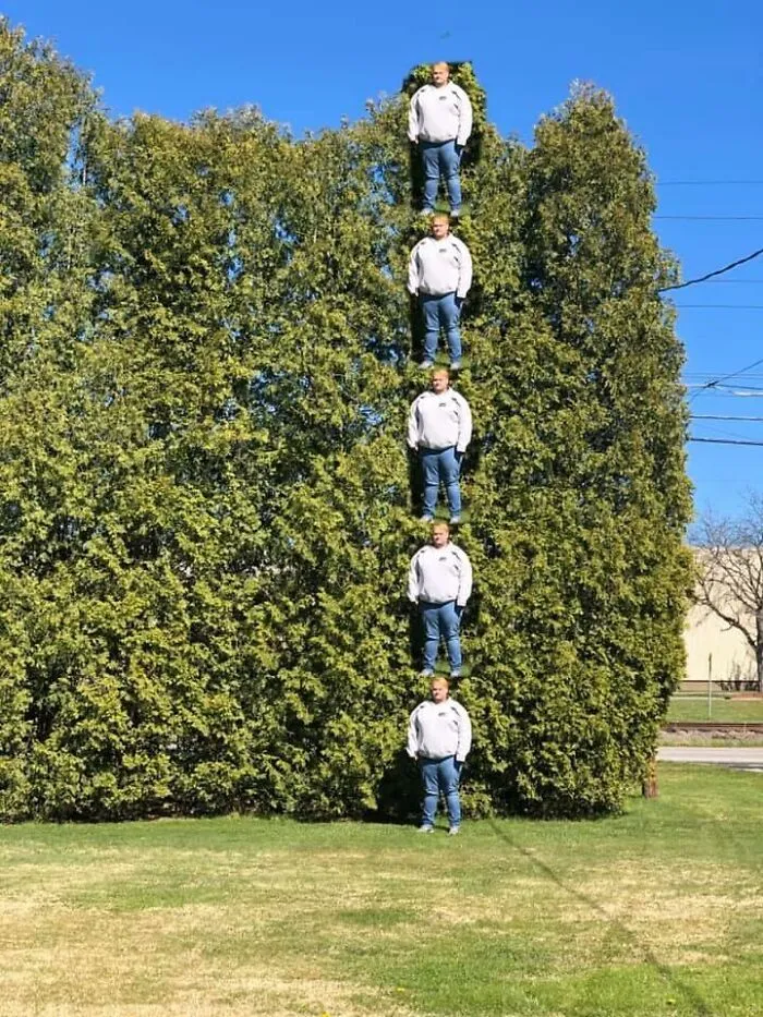 Mi hermano quería medir los árboles de su jardín. Así fue como lo hizo
