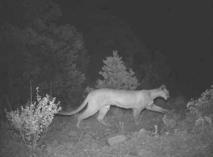49 Times Surveillance Cameras Captured Pure Nightmare Fuel