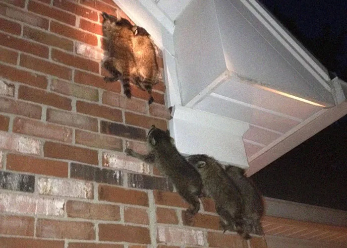 29 Weird Neighbor Moments People Still Cannot Explain