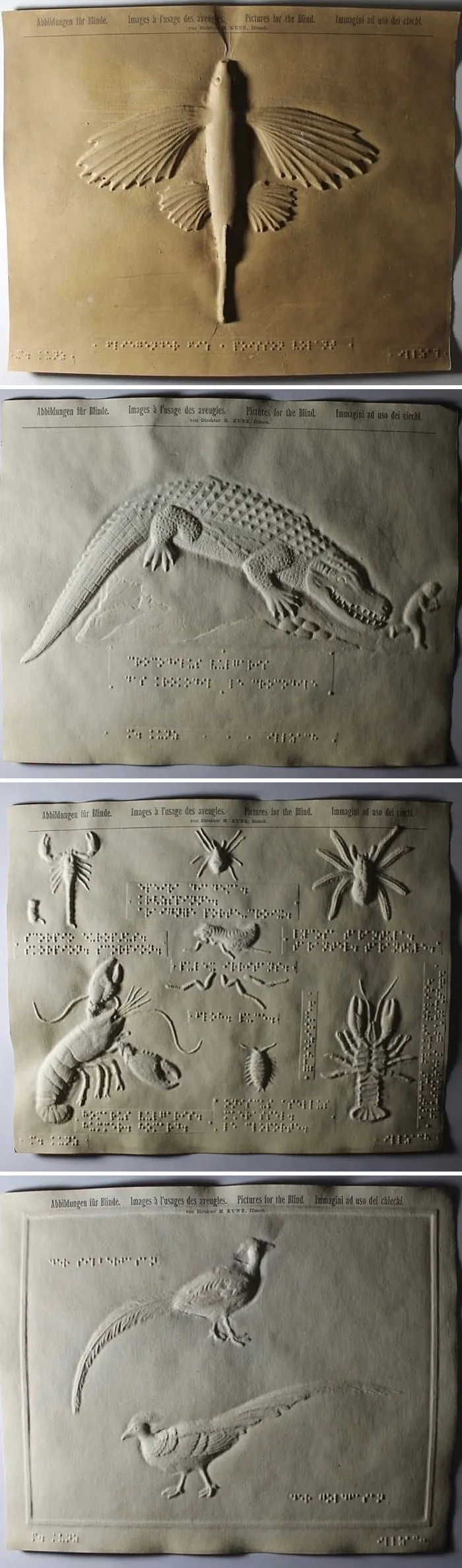 A Collection Of Tactile Pictures For The Blind - Created By Martin Kunz, 1902