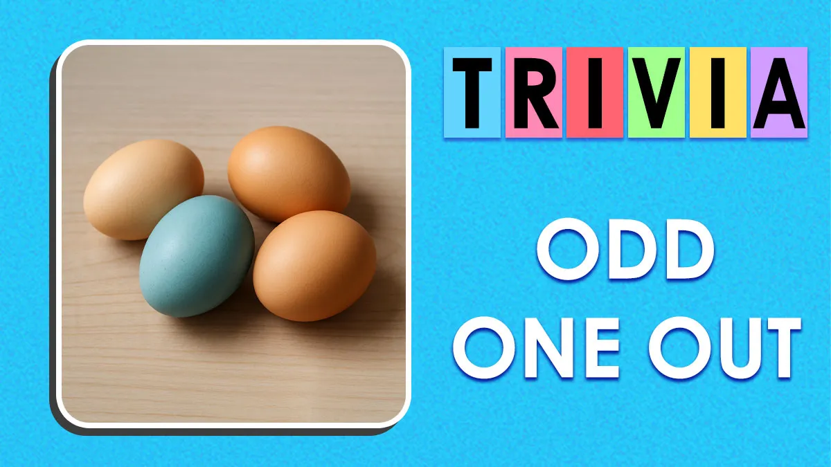 The Ultimate IQ Visual Test: Spot Imposters From These 25 Visual Clues