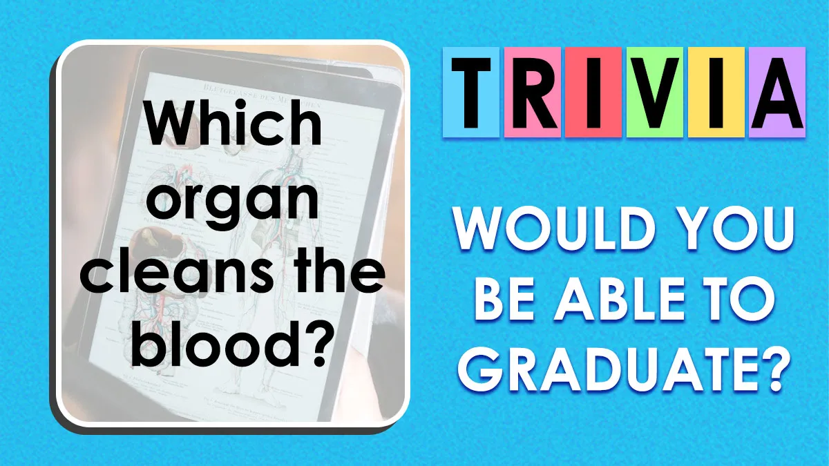 “Would You Be Able To Graduate?”: This 28-Question Test Will Reveal It All