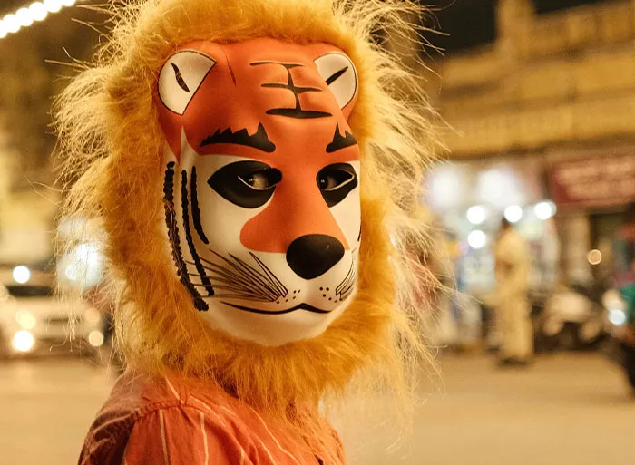 “The Zebras Are Ruthless”: 46 Unexpected Secrets Only Zoo Employees Know
