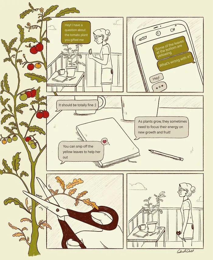 Relatable Comics That Turn Ordinary Days Into Laughs By Gabrielle Drolet (22 New Pics)