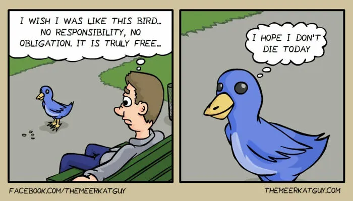 50 Of The Funniest Animal Comics Shared By Our Community